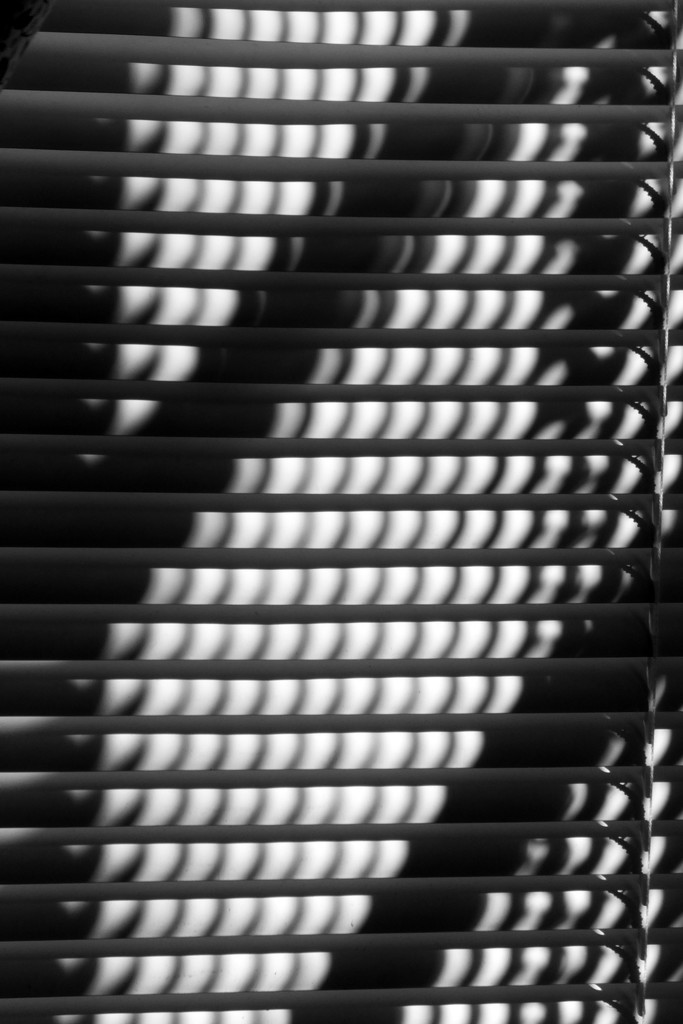 Lines of the Blinds by linnypinny