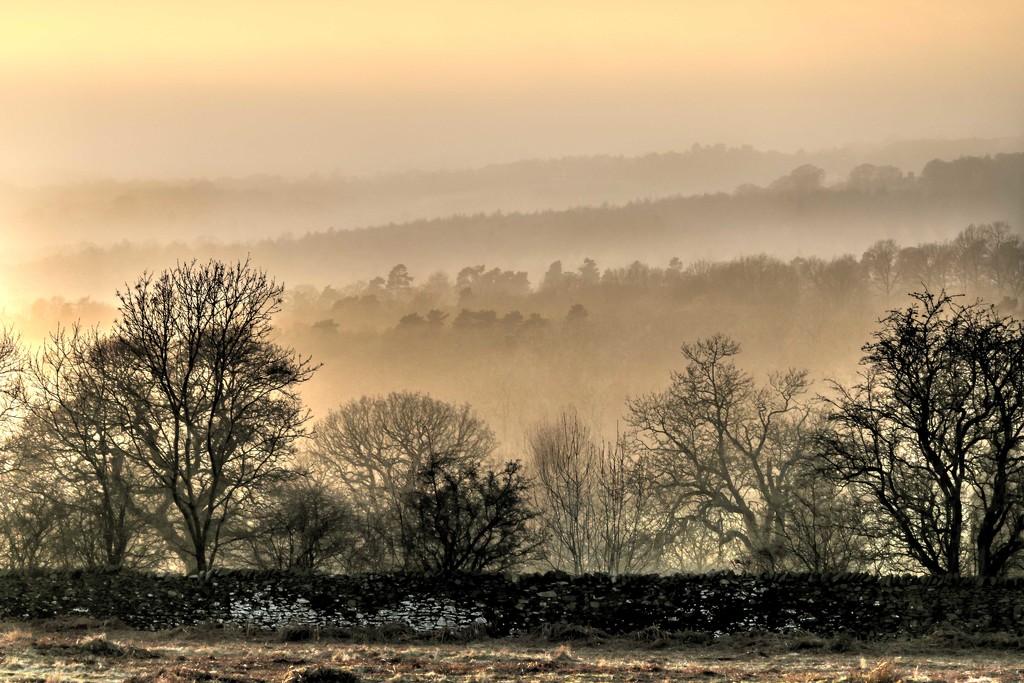 Mist    (Feb15 Landscape Challenge 1) by shepherdmanswife