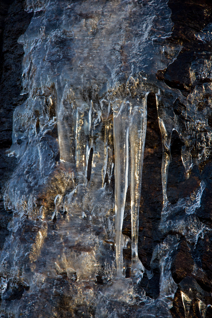 Icicles by randystreat