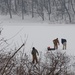 Ice Fishermen by annepann