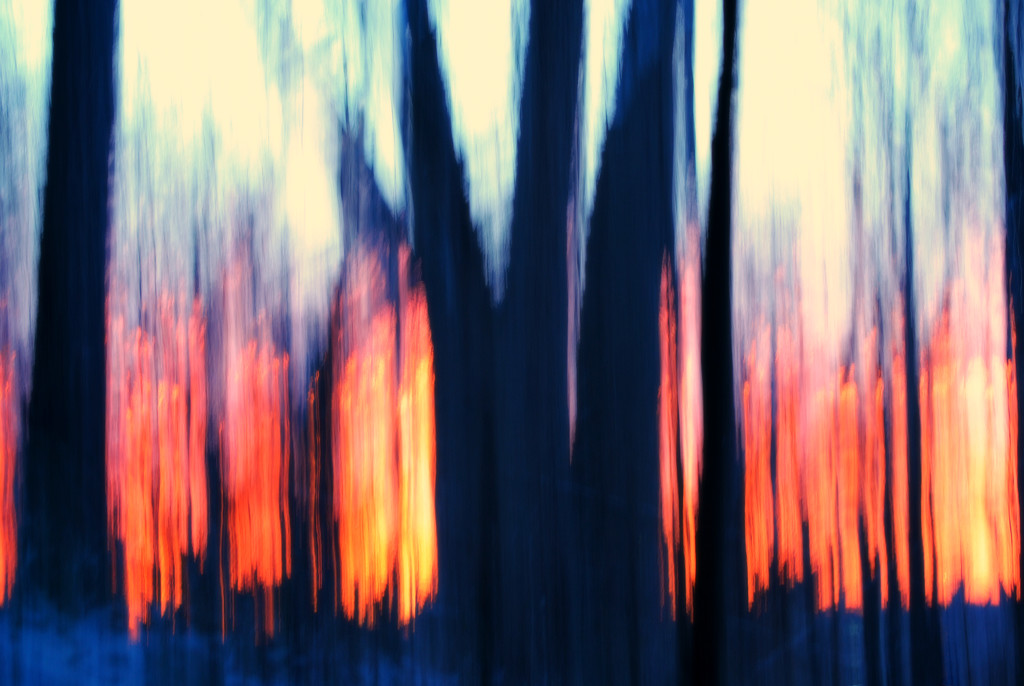 Igniting the Frosty Wood with Sunrise by alophoto