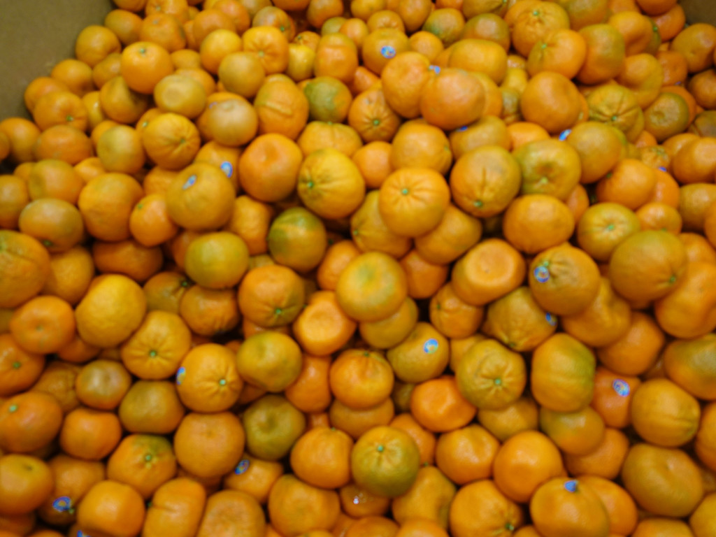Oranges by rminer