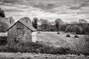 9th Feb 2015 - B&W February: Disused Barn, Abandoned Hay Bales