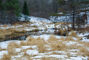 8th Feb 2015 - An Aftrernoon at 9 Mile Creek