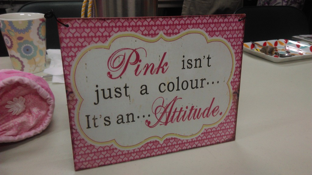 The Attitude of Pink by mozette