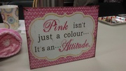 10th Feb 2015 - The Attitude of Pink