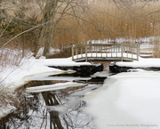 8th Feb 2015 - Snowy bridge