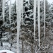Icicles of Doom by sarahsthreads