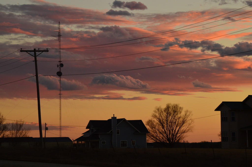 Those Dang Power Lines by kareenking