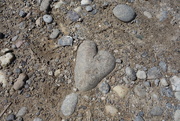 10th Feb 2015 - Heart of stone