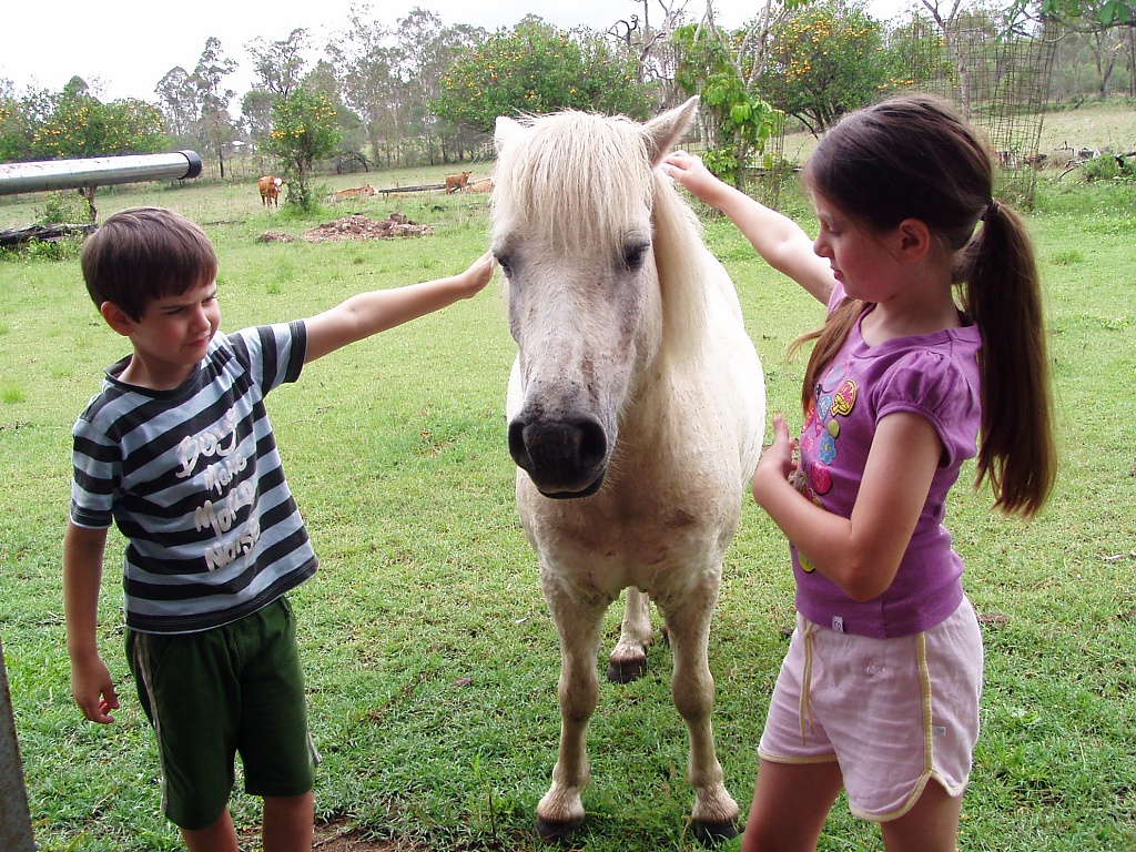 When I grow up I want a pony.  I'm gonna ride him from dusk til dawn.  I'm gonna brush his mane and feed him sugarcane and keep him in safe from the storm. by corymbia