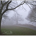 Foggy Morning by carolmw