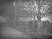 10th Feb 2015 - Ghostly Images