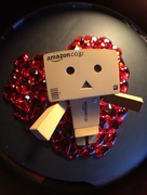 10th Feb 2015 - Danbo reaching out for love...