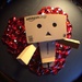 Danbo reaching out for love... by bizziebeeme