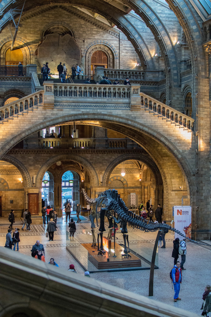 At the Natural History Museum by susie1205