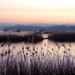 Evening on the Somerset Levels by julienne1