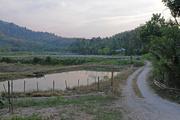 10th Feb 2015 - Fresh water ponds ulu Legong