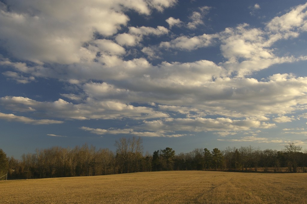 Clouds and Pasture 1.1 by thewatersphotos