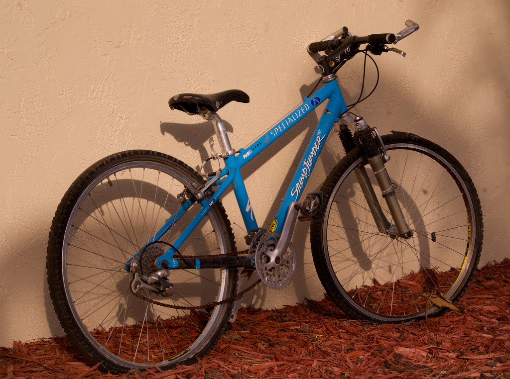 Blue bike by eudora