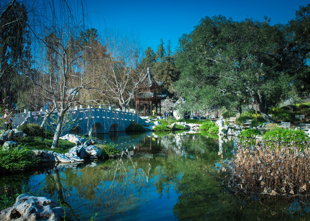 Chinese Garden by stray_shooter