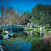 Chinese Garden by stray_shooter