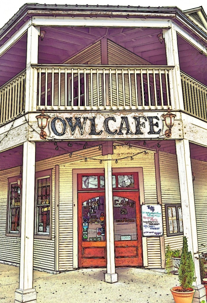 Owl Cafe  by soboy5