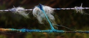 10th Feb 2015 - Blue and Wired Wool