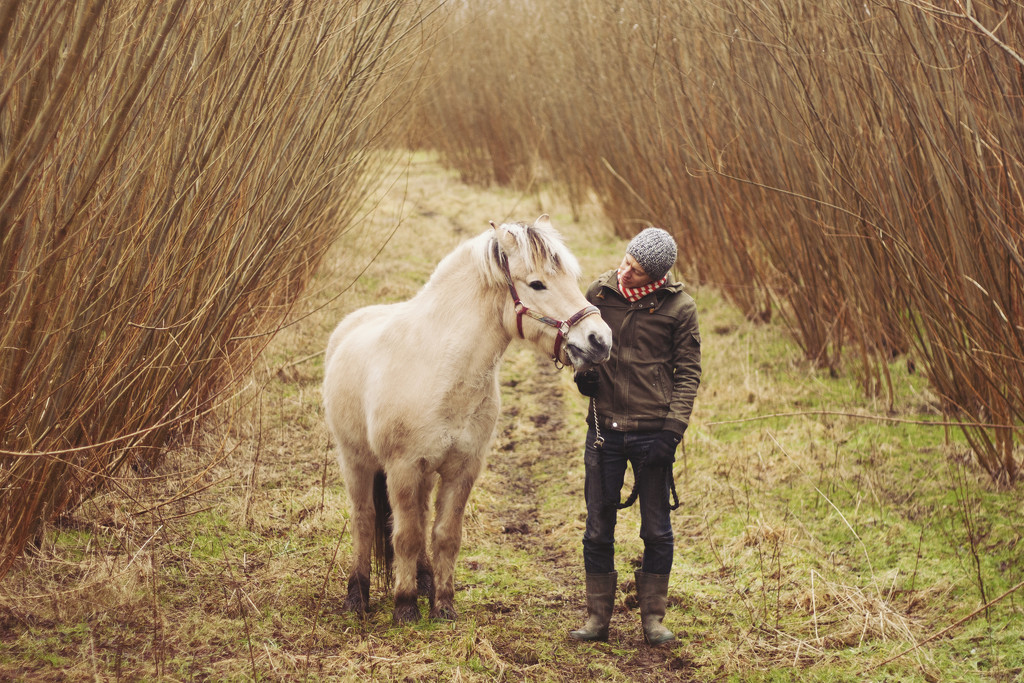 A man and his horse by lily