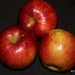 Apple Trio by essiesue