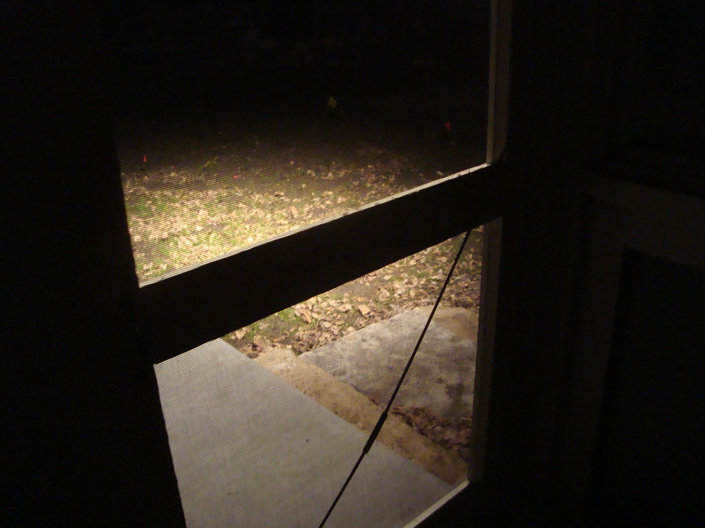 Outside the Screen Door at Night by mcsiegle