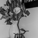 B&W vase by meemakelley