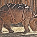 Baby Rhino Makes Friends With A Bug by joysfocus