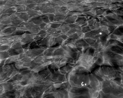 12th Feb 2015 - Ripples, refractions and flares