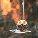 Junco and Owl Feeder by gardencat