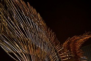 12th Feb 2015 - Angel Wings by Wolfgang Buttress