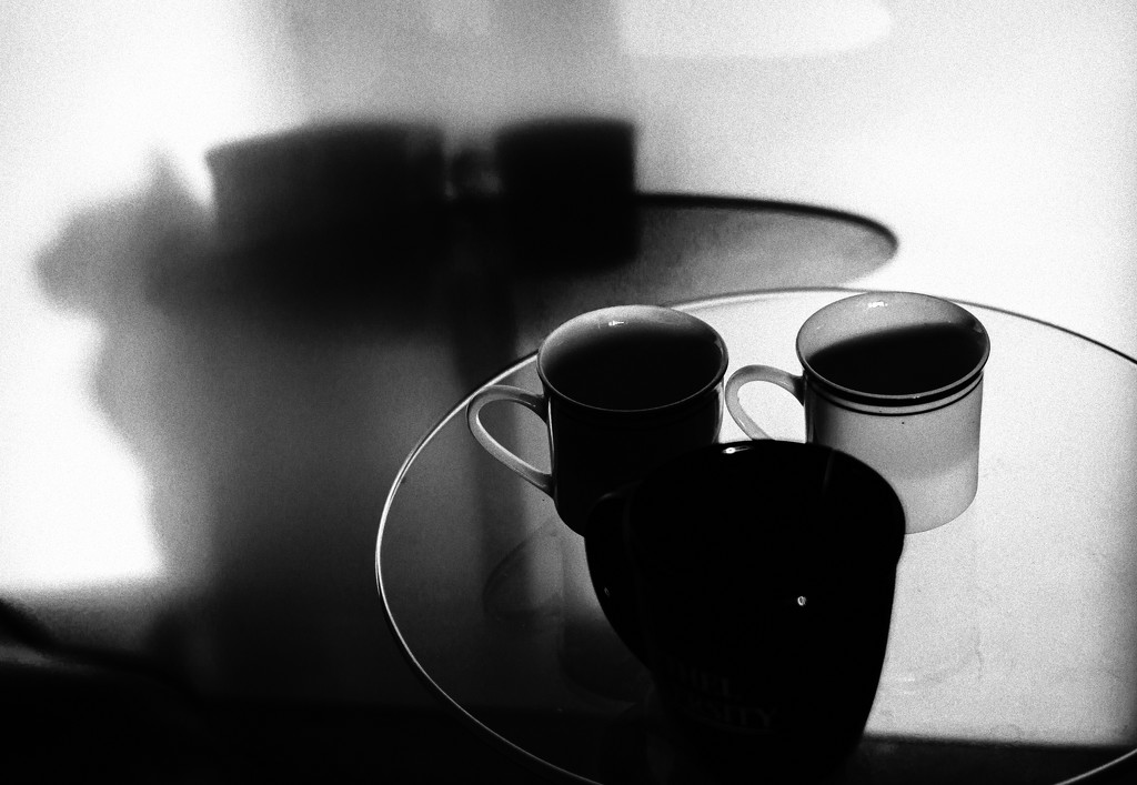 Cups and Shadows by tosee