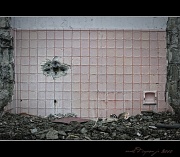 26th Aug 2010 - Urban Decay 3