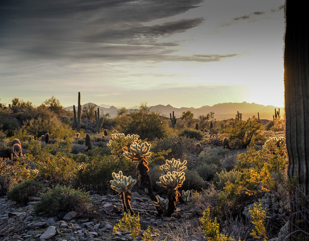 Sunset in the Southwest by rosiekerr