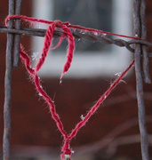13th Feb 2015 - Knotted Heart
