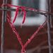 Knotted Heart by tracymeurs