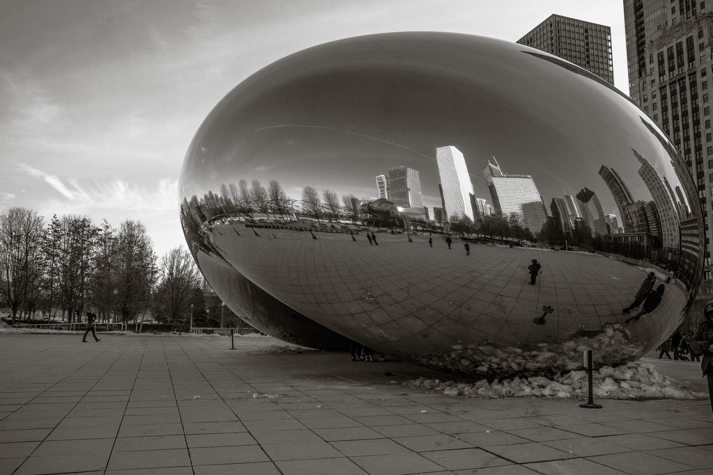 The Bean by ukandie1