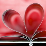 13th Feb 2015 - Book Heart