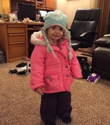 11th Feb 2015 - Ready for the snow