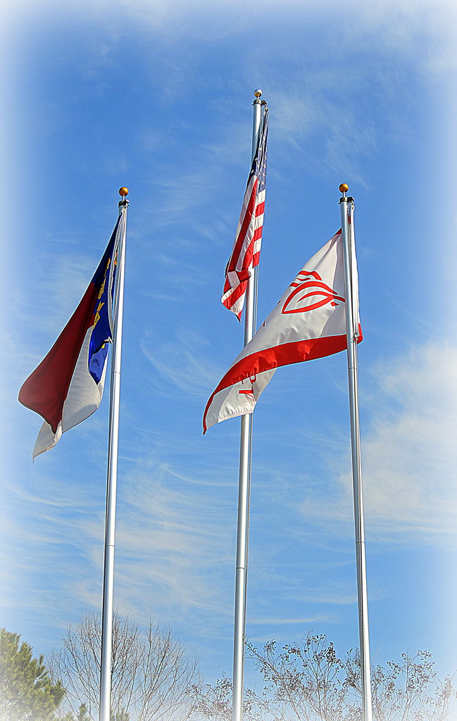 Flags flapping in the Breeze! by homeschoolmom