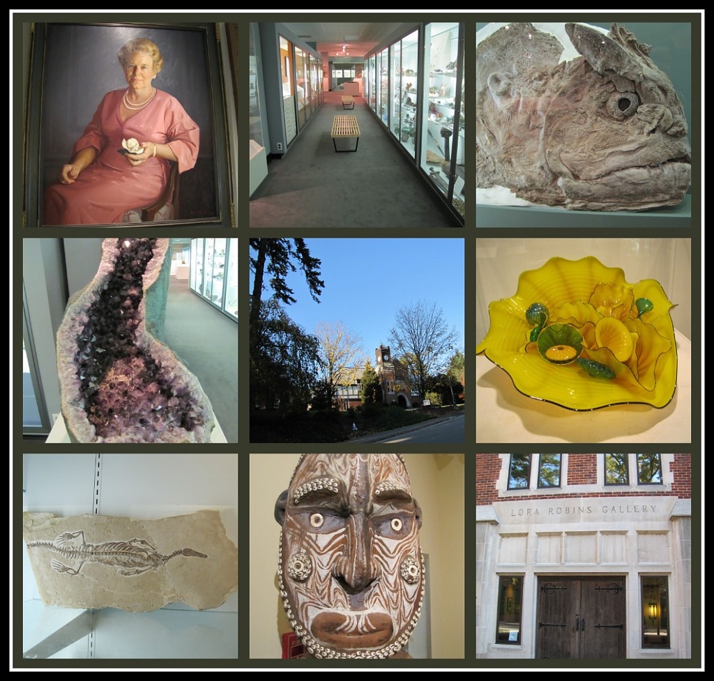 A Tour of the Lora Robins Gallery by allie912