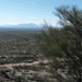 BLM Tucson  by wilkinscd