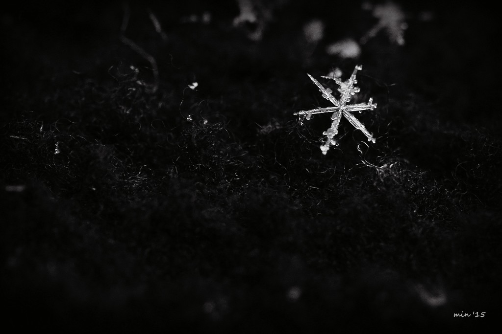 Simple Star Snowflake by mhei