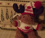 13th Feb 2015 - M is for Moose