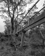 15th Feb 2015 - Old footbridge at Bindi Brook